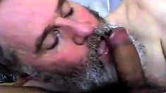 Bearded Daddy Suck and Swallow